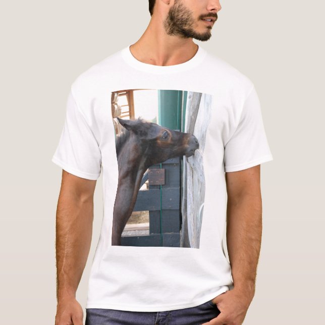 Camiseta Humor com picada de cavalo/pônei (Frente)