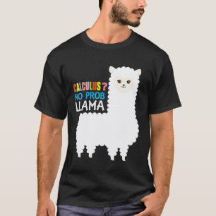 Camiseta Humor de Professor de Matemática da Escola de Llam