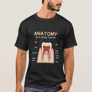 Camiseta Humor Dentista Da Anatomia Dos Dentes Para Ortodon