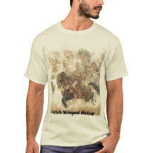 Hussar voado polonês