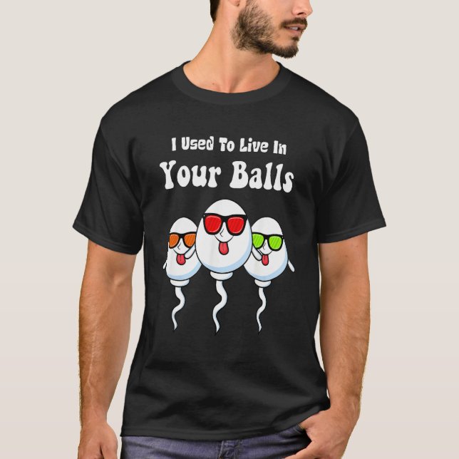 Camiseta I Used To Live in Your Balls Funny, Silly Father's (Frente)