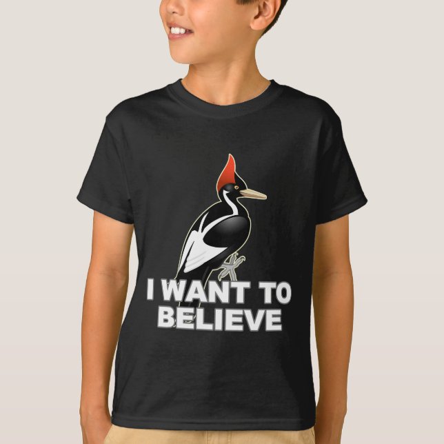 Camiseta IBWO: Eu quero acreditar (Frente)