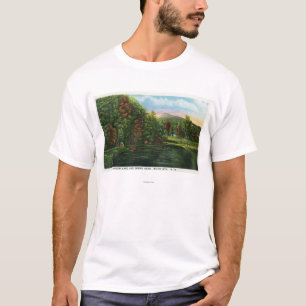 Camiseta Ideia cénico do lago shadow e da cabeça do indiano