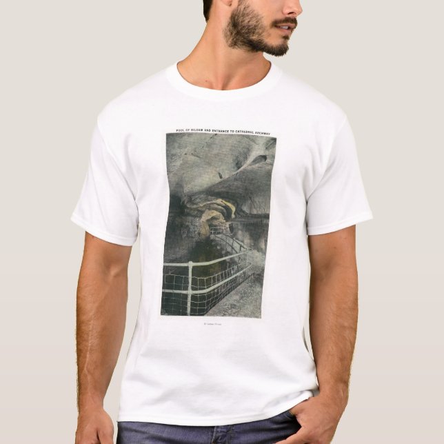 Camiseta Ideia da arcada da catedral da piscina de Siloam (Frente)