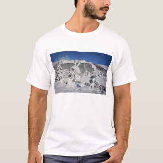 Camiseta Ideia da estância de esqui de Catedral em