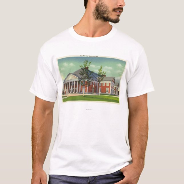 Camiseta Ideia exterior do teatro dos termas de Saratoga (Frente)