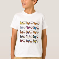 Identificação da borboleta