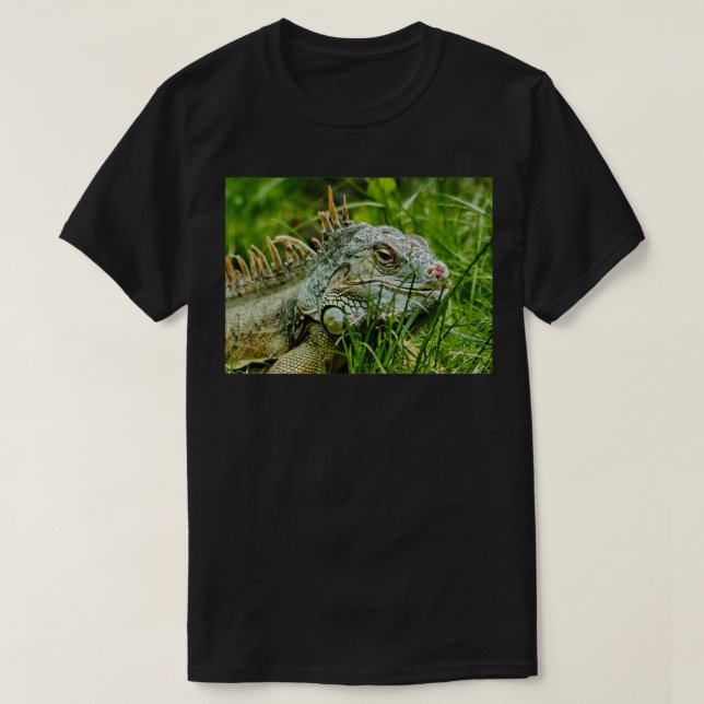 Camiseta Iggy the Iguana (Frente do Design)