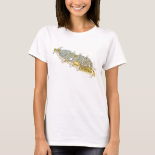 Camiseta Ile-de-la-Mencione. Paris France