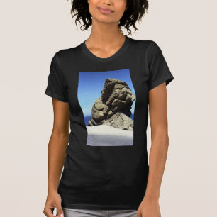 Camiseta Ilha Catalina papais noeis