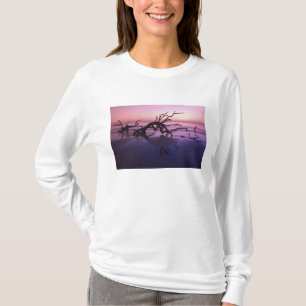 Camiseta Ilha GA Jekyll, Cemitério de árvores na praia em