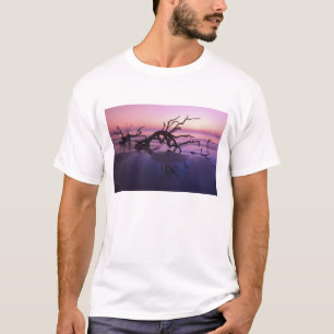 Camiseta Ilha GA Jekyll, Cemitério de árvores na praia em