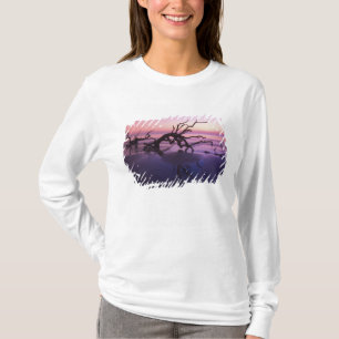 Camiseta Ilha GA Jekyll, Cemitério de árvores na praia em
