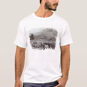 Camiseta Ilha Norfolk