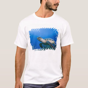 Camiseta Ilhas Cayman, Little Cayman Island, Subaquático 2