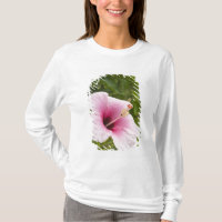Ilhas Cook, Atiu. Flor de hibisco.