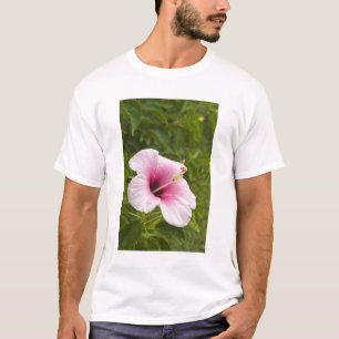 Camiseta Ilhas Cook, Atiu. Flor de hibisco.