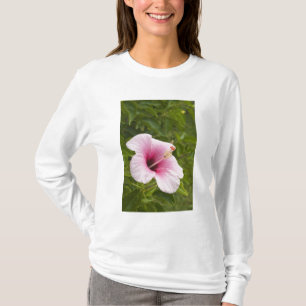 Camiseta Ilhas Cook, Atiu. Flor de hibisco.