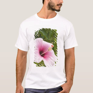 Camiseta Ilhas Cook, Atiu. Flor de hibisco.