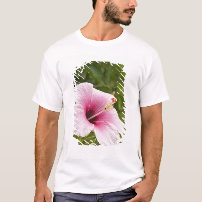 Camiseta Ilhas Cook, Atiu. Flor de hibisco. (Frente)