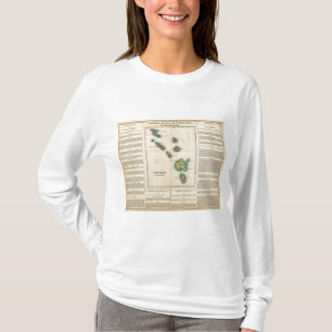 Camiseta Ilhas de Leeward