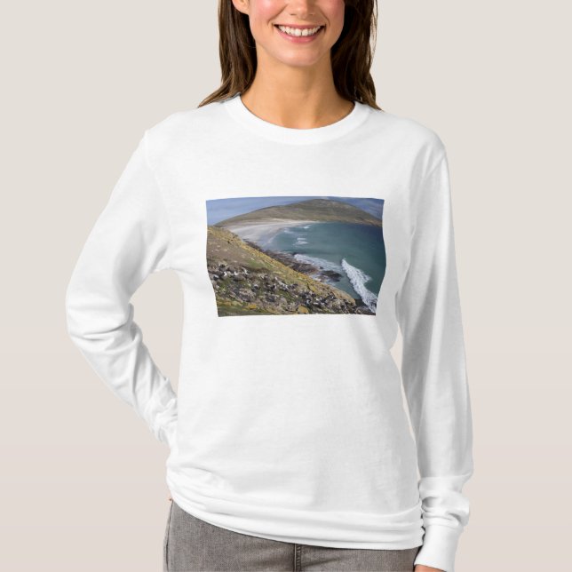 Camiseta Ilhas Falkland, West Falkland, Saunders (Frente)