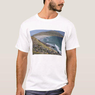 Camiseta Ilhas Falkland, West Falkland, Saunders