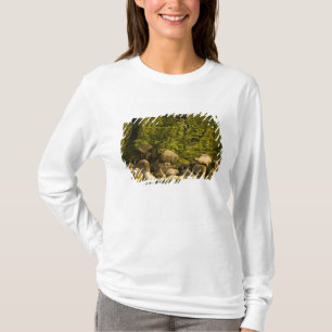 Camiseta Ilhas Similan, Parque Nacional Marinho perto