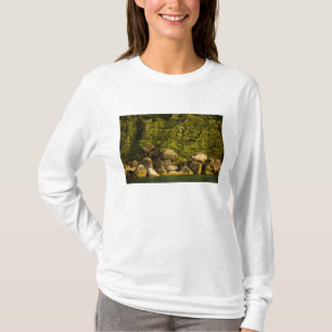 Camiseta Ilhas Similan, Parque Nacional Marinho perto