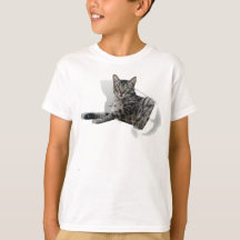 Ilusão engraçada 3D Gráfica de Gato Bonito popular
