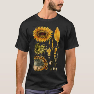Camiseta Ilustração Botânica De Girassol Do Século 19