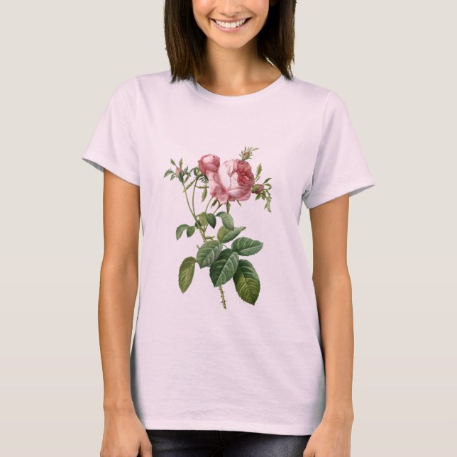 Camiseta Ilustração botânica rosa-rosa-vinda, Redoute (Frente)