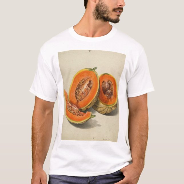 Camiseta Ilustração cortada do melão do cantaloupe (Frente)