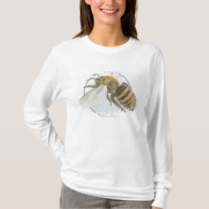 Camiseta Ilustração da abelha européia do mel