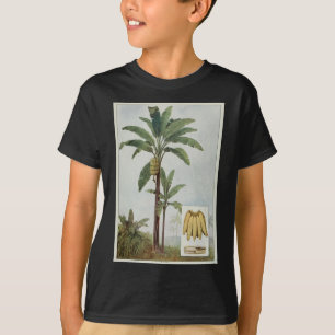 Camiseta Ilustração da árvore da banana