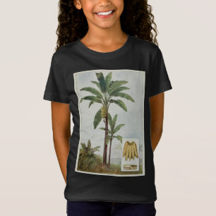 Camiseta Ilustração da árvore da banana