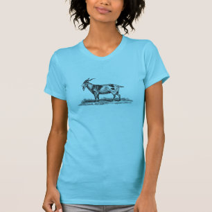 Camiseta Ilustração da cabra doméstica do vintage - cabr