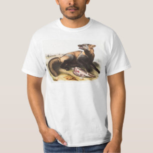 Camiseta Ilustração da Cruz Fox Americana (Canis vulpes)