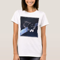 Ilustração Da Nave Espacial Xl Do Dragão.