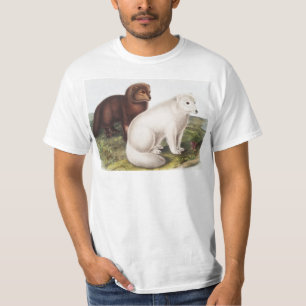Camiseta Ilustração da Raposa Árctica (Vulpes lagopus)