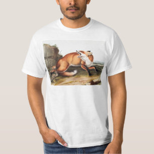 Camiseta Ilustração da Raposa Vermelha Americana (Vulpes 