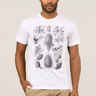 Camiseta Ilustração de Conifer Haeckel