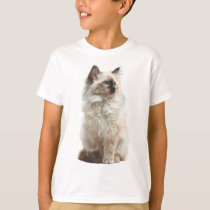 Camiseta Ilustração de Gato Ragdoll de Olhos Azuis Fofos pa