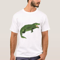 Ilustração de Jacaré Verde Gráfico Crocodilo Selva