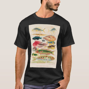 Camiseta Ilustração De Peixes De Recife De Barreira excelen