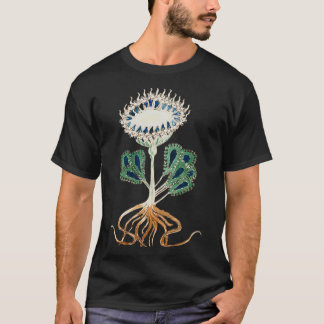 Camiseta Ilustração de Planta Manuscrita de Voynich 1