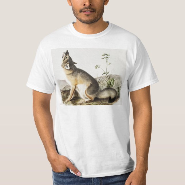 Camiseta Ilustração de Raposa Swift (Vulpes velox) (Frente)