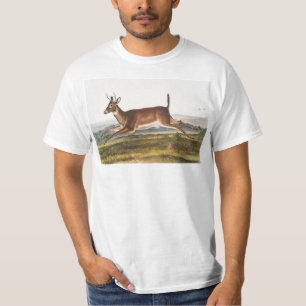 Camiseta Ilustração de Veado Longo (Cervus leucurus)