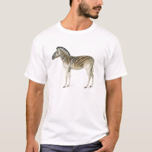 Ilustração de zebra da montanha Vintage