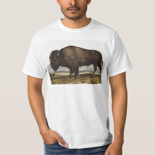 Camiseta Ilustração do American Bison (Bos Americanus) (Frente)